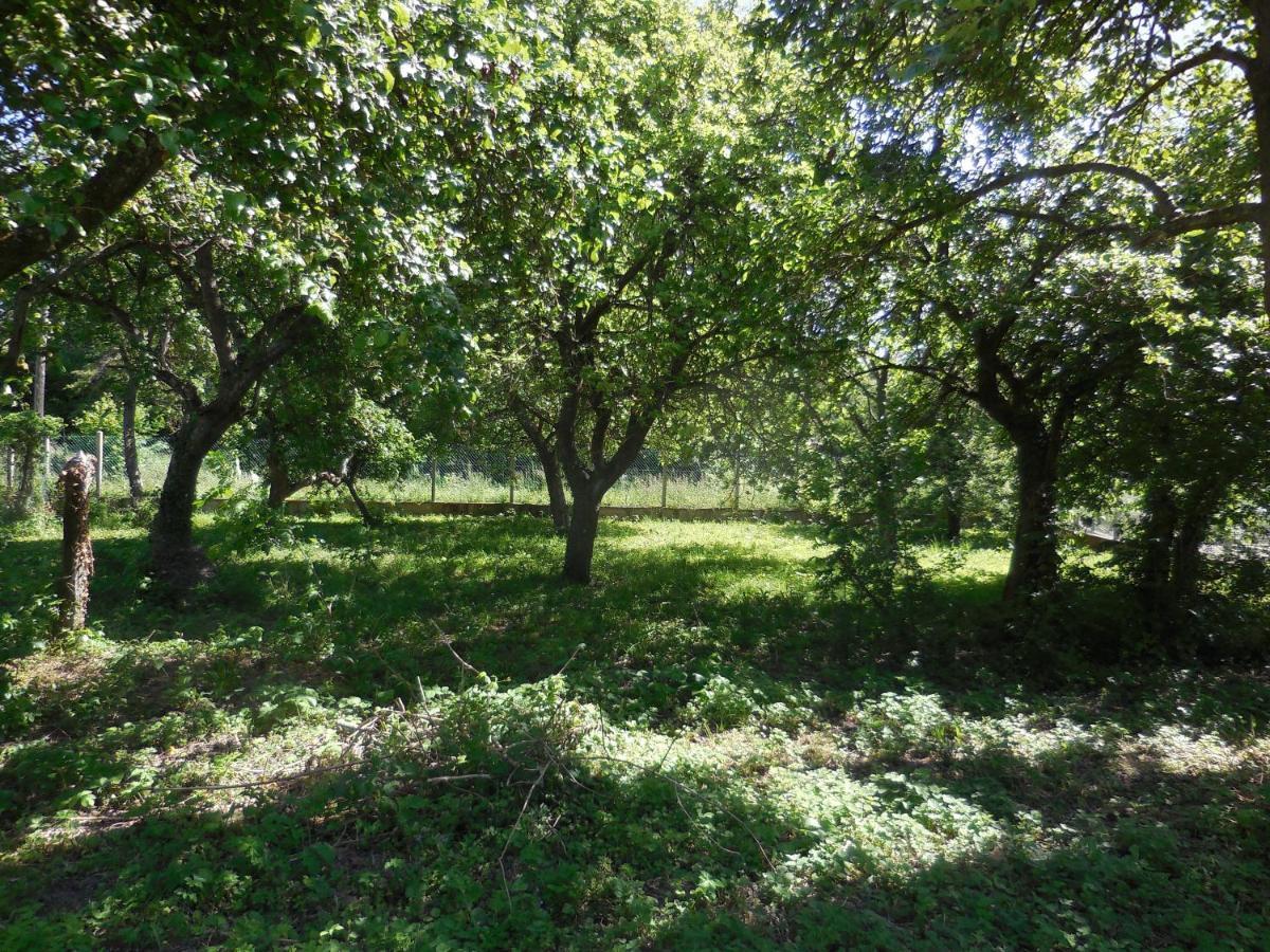 Cahon Le Jardin, Chambres D'Hotes En Baie De Somme מראה חיצוני תמונה
